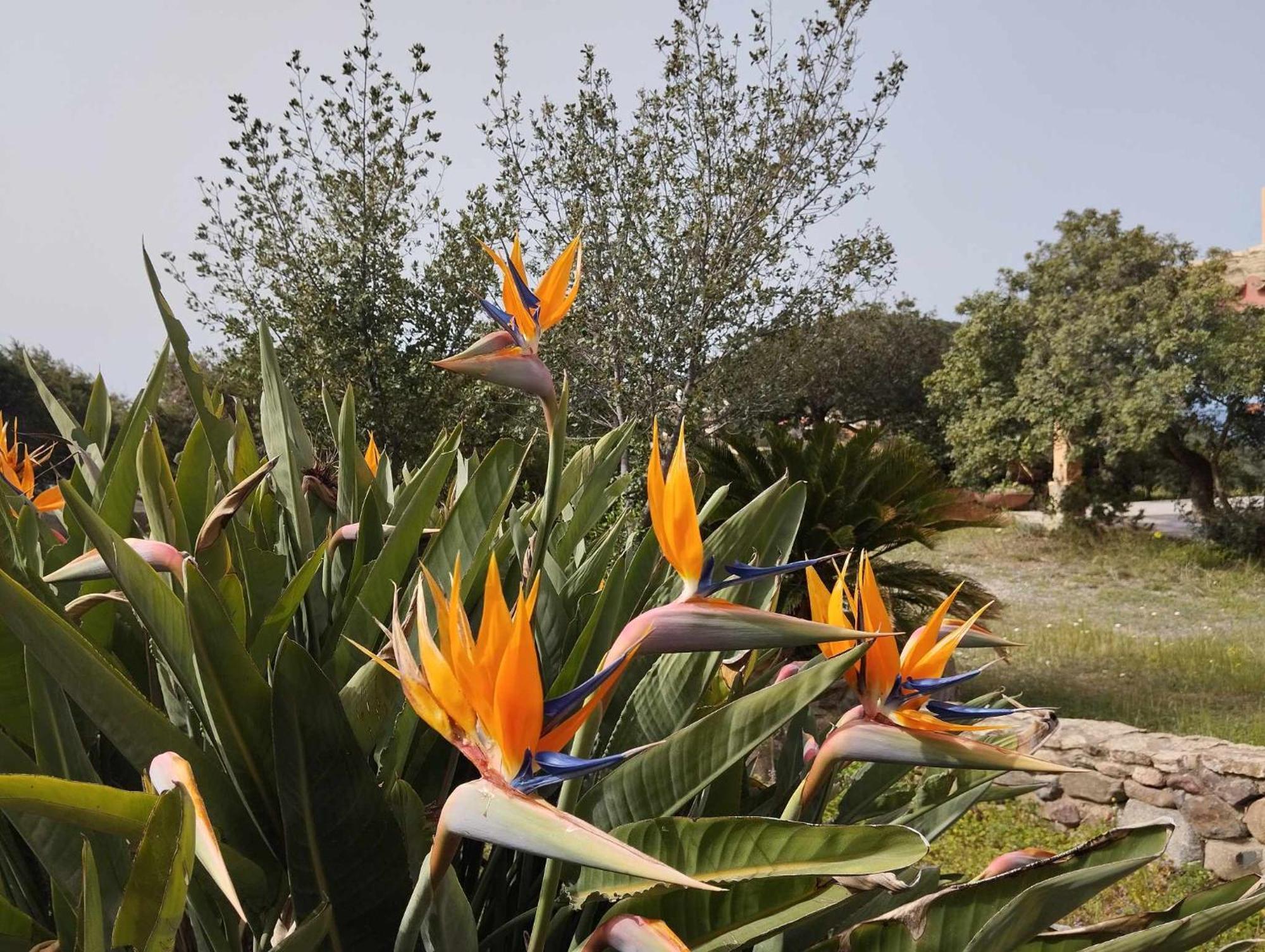 Holiday Home Riccio Di Mare Sardinia Marongiu Exterior foto